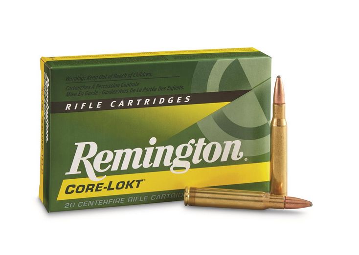 Remington Core-Lokt Pointed Soft Point .30-06 Springfield